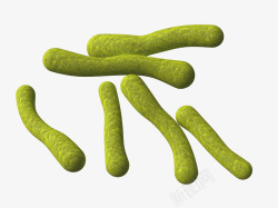 草绿色细菌立体插画素材