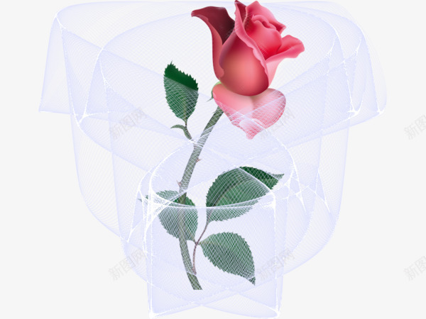 玫瑰花包装png免抠素材_88icon https://88icon.com 创意玫瑰花 玫瑰 玫瑰花 红玫瑰 网纱包装纸