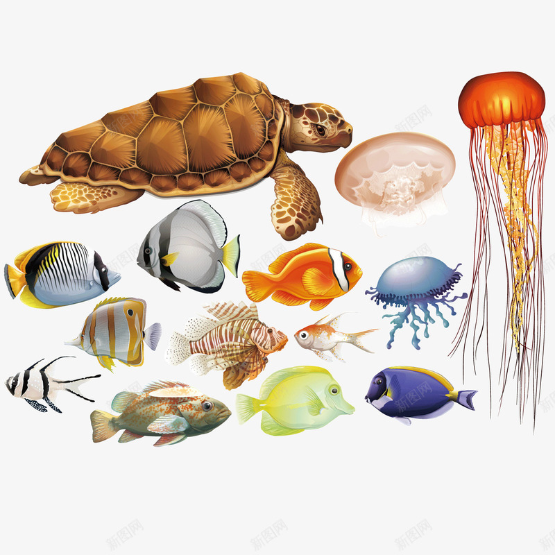 卡通海底生物png免抠素材_88icon https://88icon.com 卡通 海底 海底生物 生物