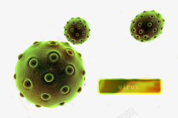 显微镜下的藻类显微镜下的细胞真菌生物结构高清图片