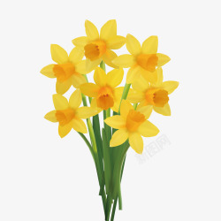 插花瓶黄色迎春花装饰高清图片