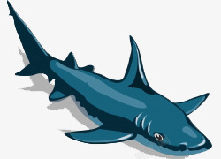 卡通手绘海底蓝色卡通鲨鱼插画素材
