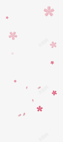 粉色樱花树枝樱花花朵高清图片