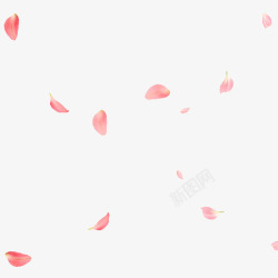 粉红花瓣雨玫瑰花花瓣高清图片