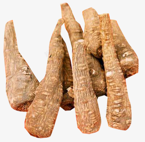 中药材白芷png免抠素材_88icon https://88icon.com 中医美容 中草药美容 中药 中药美容 女性美容 川白芷 有益美容的药材 有益美容药物 植物 植物美容 白芷 白芷美容 祛风湿 美容 美容药物 芳香 药材美容 药理美容