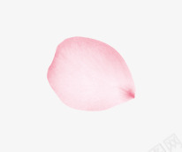 情人节妇女节三八节花瓣png免抠素材_88icon https://88icon.com 一朵朵 花瓣 玫瑰花花瓣 节日 花瓣 花飘落 飘落装饰 鲜花