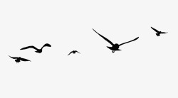 矢量的海鸥飞鸟高清图片