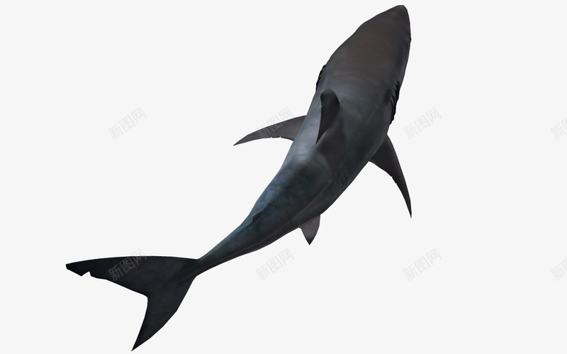 海底世界3d卡通鱼png免抠素材_88icon https://88icon.com 卡通鱼 海洋动物 海洋图片 蓝色