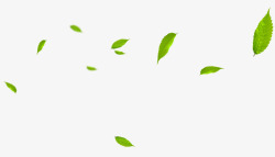 绿叶漂浮悬浮树叶漂浮绿叶高清图片