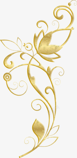 华丽花边金色植物花纹高清图片