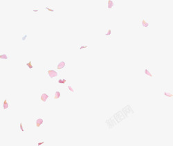 飞舞的玫瑰花瓣玫瑰花瓣高清图片