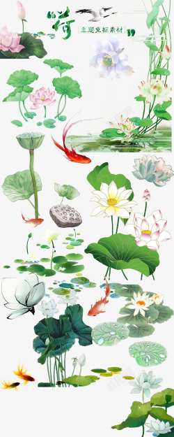 矢量植物竹子荷花图手绘中国风高清图片