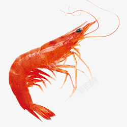 红虾样式主页装修素材