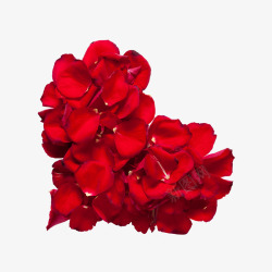 大红玫瑰产品实物玫瑰花瓣爱心图案高清图片