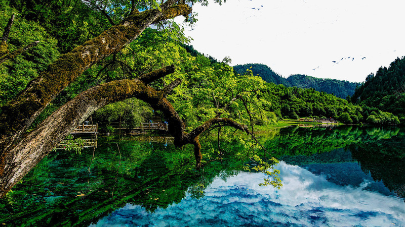 四川九寨沟风景四png免抠素材_88icon https://88icon.com 名胜古迹 旅游风景 著名建筑