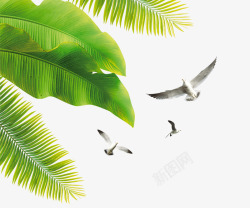 海鸥飞鸟椰树素材