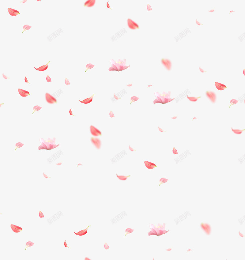 漂浮花瓣png免抠素材_88icon https://88icon.com 完结撒花 桃花png 洒落花瓣 浪漫花瓣 漂浮花瓣png素材 粉色花瓣 花瓣 遍地桃花