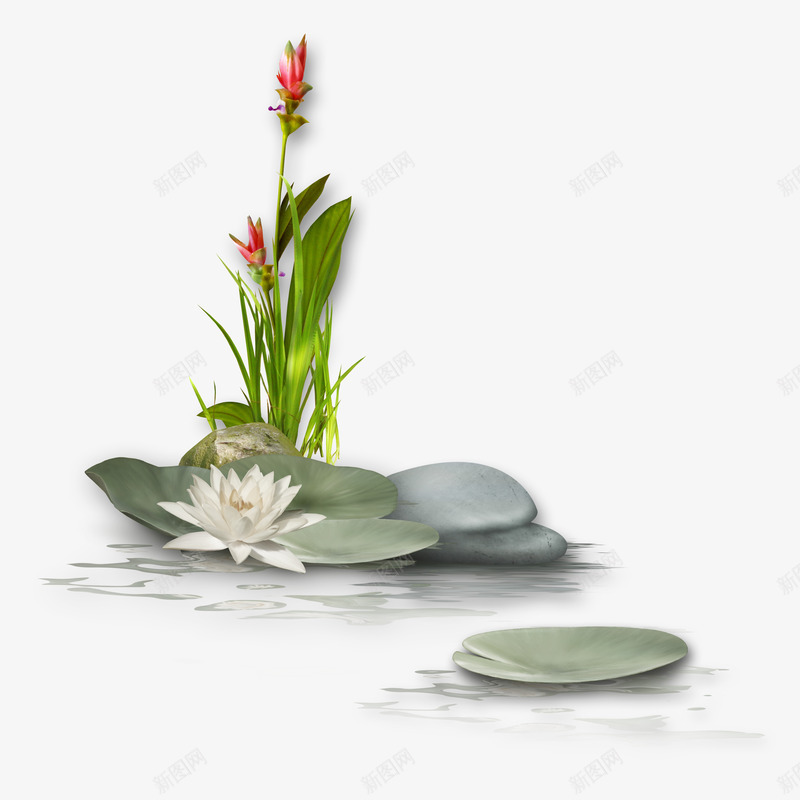 荷花png免抠素材_88icon https://88icon.com png素材 荷花 高清