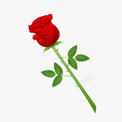 红色玫瑰花朵爱情矢量图素材
