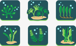 海底生态海底生态海藻合集高清图片