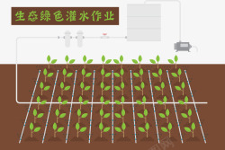 灌溉农业生态绿色高清图片