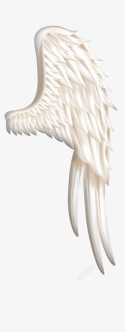 白色的翅膀翅膀白色天使翅膀高清图片