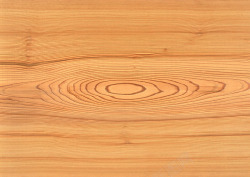 树木木纹木板木纹木头高清图片