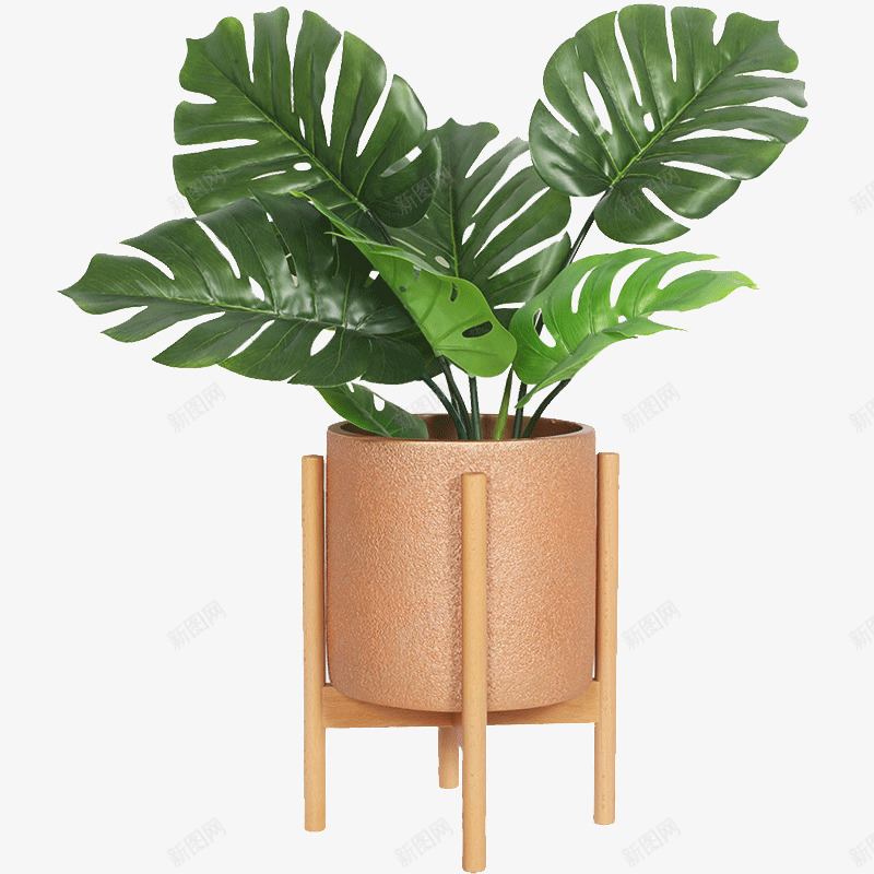 绿色的植物盆栽装饰png免抠素材_88icon https://88icon.com 龟背竹 叶子 支架 树叶 植物 热带植物 盆栽 绿叶