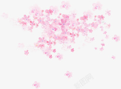 飘落的花朵粉色花朵花海植物花瓣高清图片
