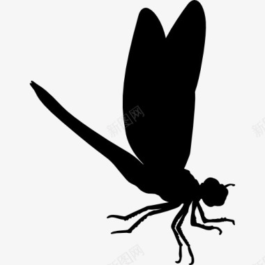 龙的飞行昆虫动物形状图标图标