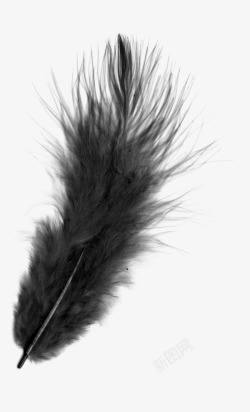圣漂浮羽毛素材羽毛漂浮元素背景高清图片