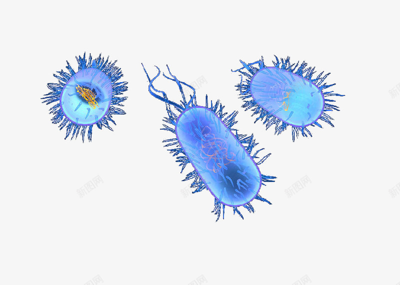 超级细菌png免抠素材_88icon https://88icon.com 放大倍数细菌 显微镜下的细菌 显微镜细胞 硝化细菌 细菌图片 细菌试验