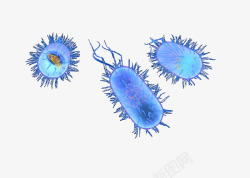 硝化细菌超级细菌高清图片
