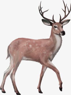 棕色简约麋鹿装饰图案素材