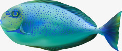 海底鱼丑鱼蓝色矢量图素材