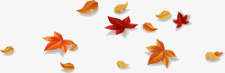 秋天叶子枫叶高清图片