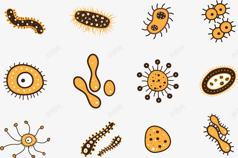 独立菌群png免抠素材_88icon https://88icon.com 微生物 显微镜 独立 真菌 细菌 群体 菌群