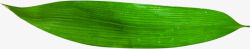 粽叶元素端午节粽叶绿叶叶子点缀高清图片