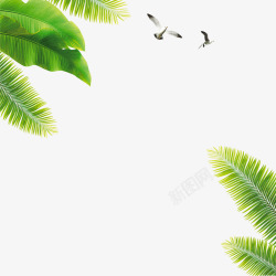 海鸥素材夏日椰子树叶沙滩海滩高清图片