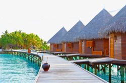 度假村马尔代夫自然美景高清图片