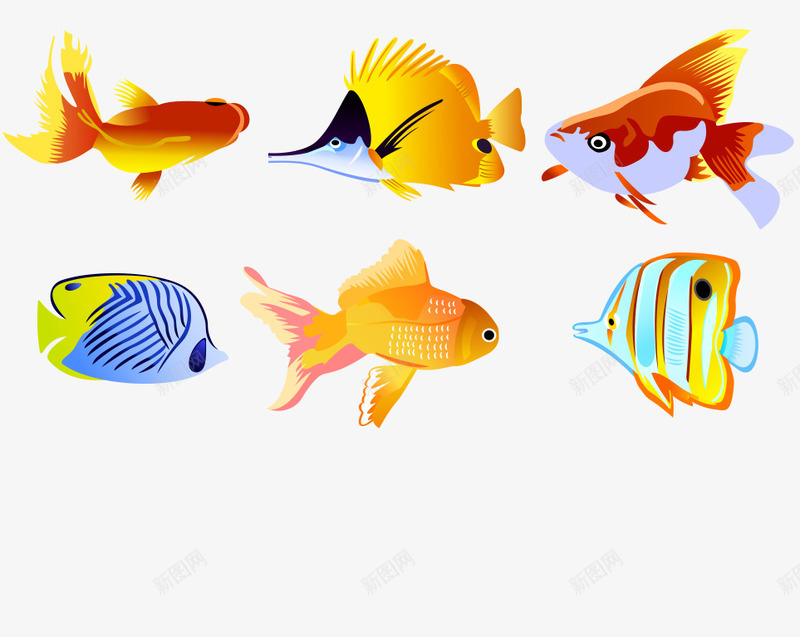 海洋鱼集合png免抠素材_88icon https://88icon.com png素材 小丑鱼 海洋鱼 热带鱼 色彩艳丽