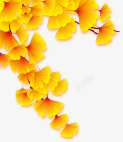 秋天的银杏叶6素材