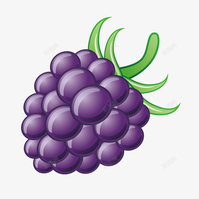 卡通葡萄png免抠素材_88icon https://88icon.com 一串葡萄 卡通提子 卡通水果 手绘葡萄 水果 立体葡萄 紫色葡萄