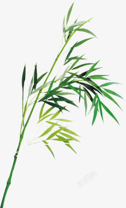 竹子背景素材手绘翠绿竹叶高清图片