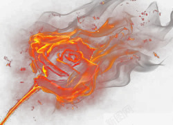 火焰玫瑰燃烧火焰玫瑰高清图片