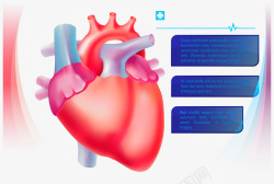 彩色心脏彩色心脏矢量图高清图片