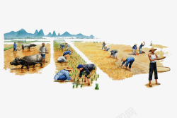 田水彩农田种植水稻的农民插画高清图片
