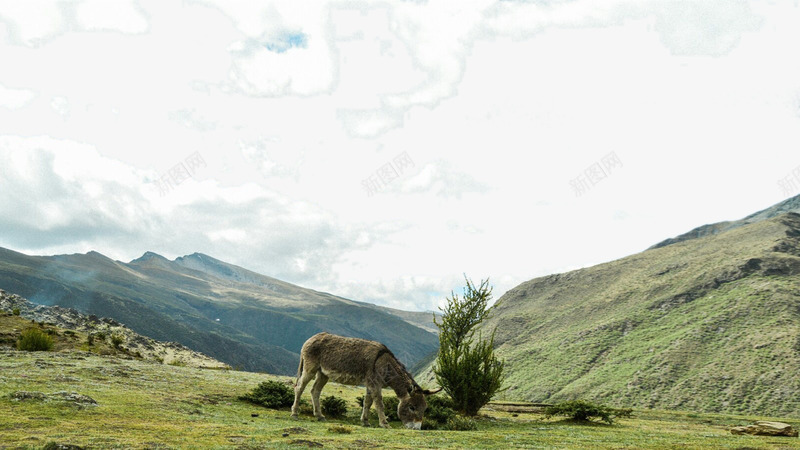 西藏拉萨草原三psd免抠素材_88icon https://88icon.com 名胜古迹 旅游风景 著名建筑