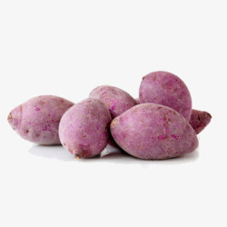 金手指紫薯素材