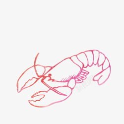 龙虾手绘红色小龙虾矢量图高清图片